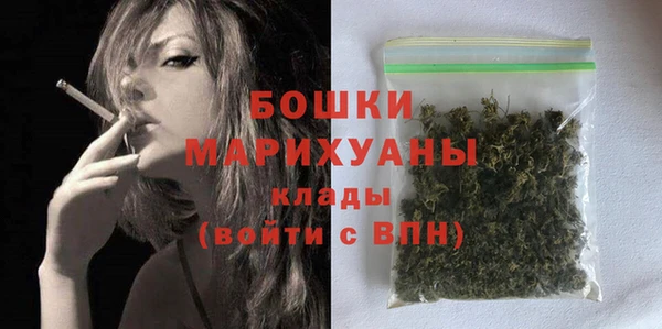a pvp Ельня